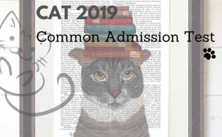 CAT Preparation Strategy